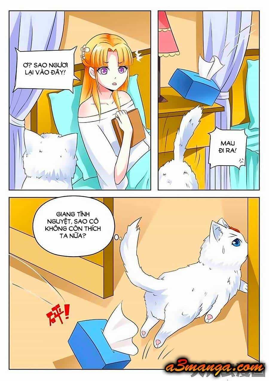 Mau Lấy Con Mèo Đó Ra - Chương 2 - ảnh 11