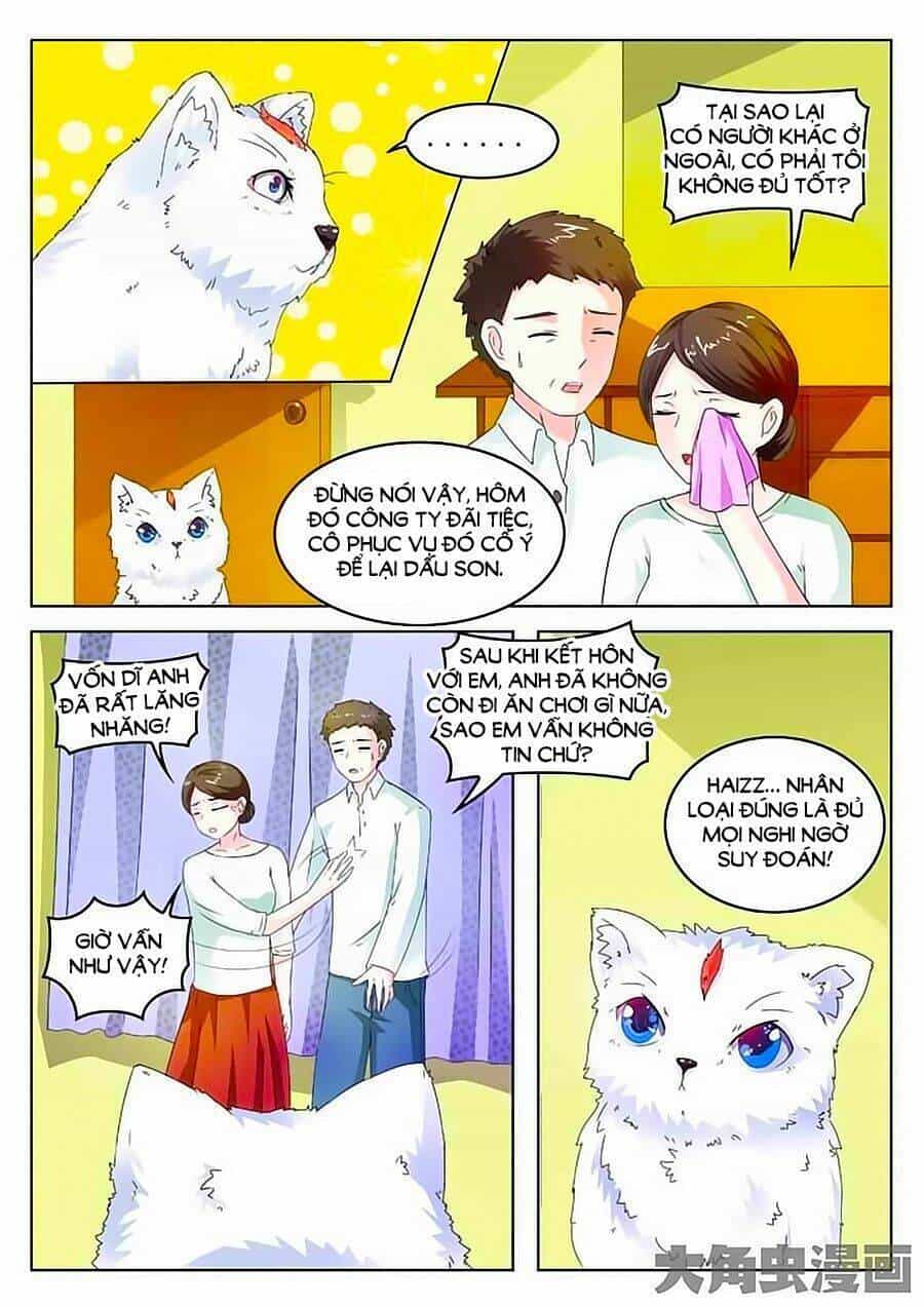 Mau Lấy Con Mèo Đó Ra - Chương 2 - ảnh 12