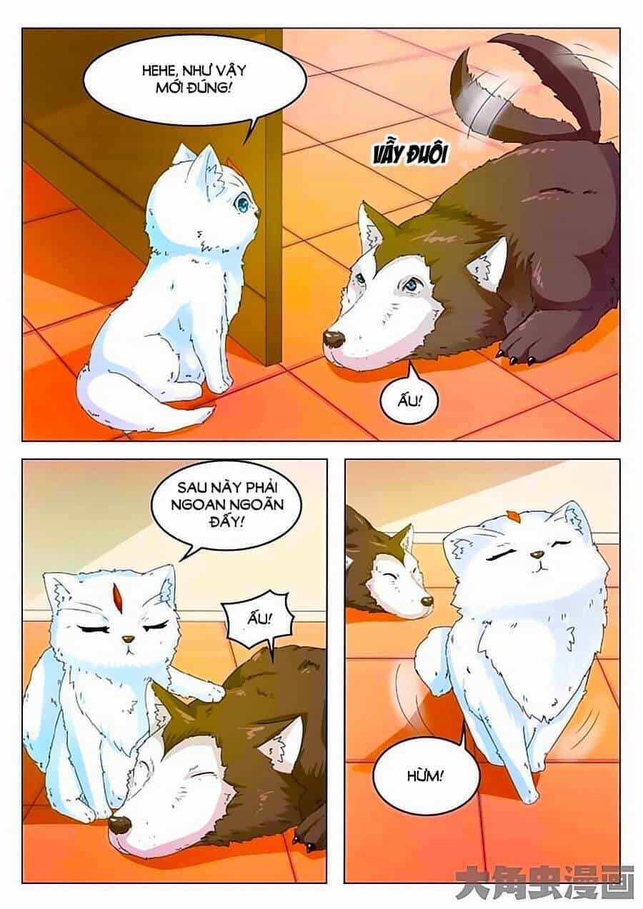 Mau Lấy Con Mèo Đó Ra - Chương 2 - ảnh 14