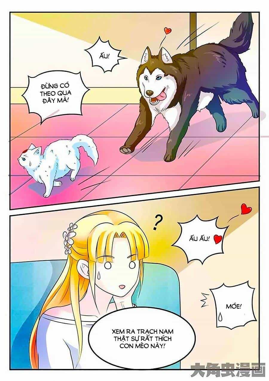 Mau Lấy Con Mèo Đó Ra - Chương 3 - ảnh 4