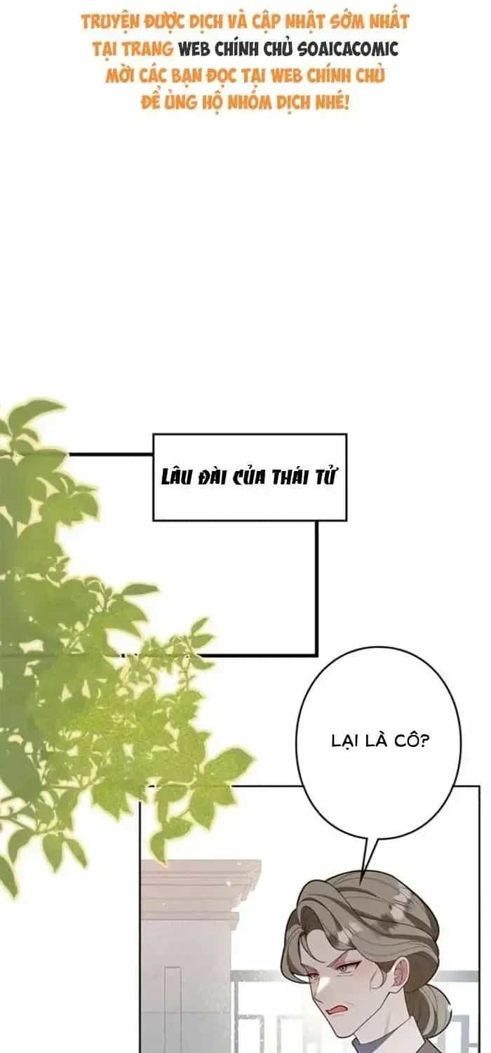 Mẹ Đơn Thân Và Nổi Ám Ảnh Của Thái Tử - Chương 19 - ảnh 2