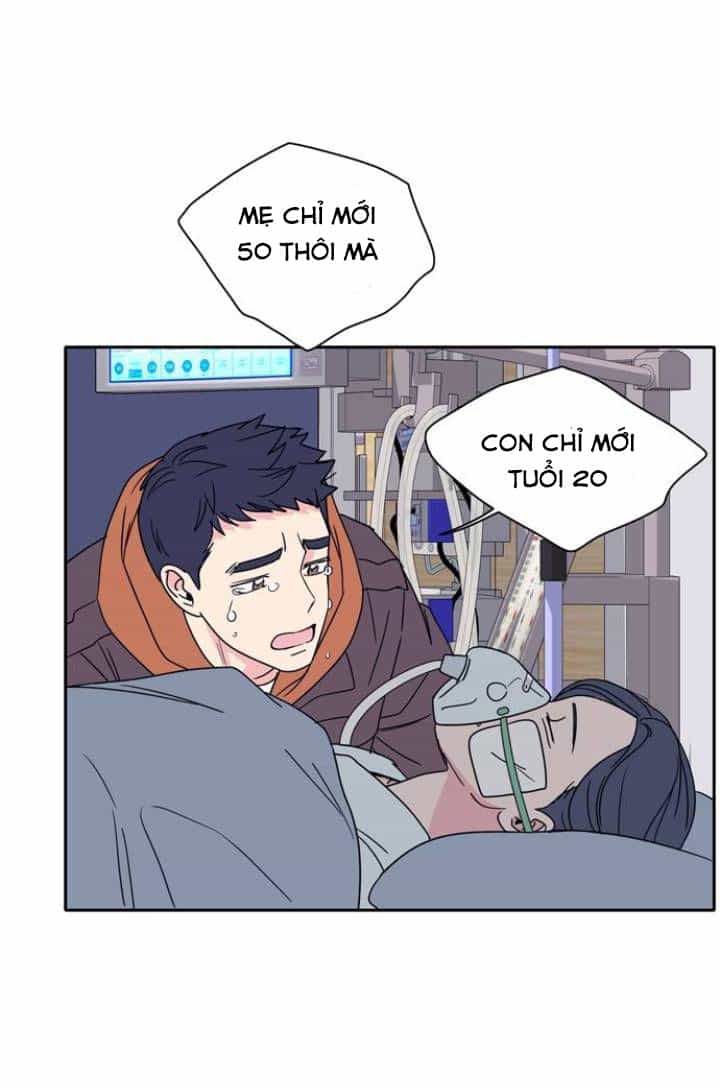 Mẹ Ơi, Con Xin Lỗi! - Chương 1 - ảnh 51
