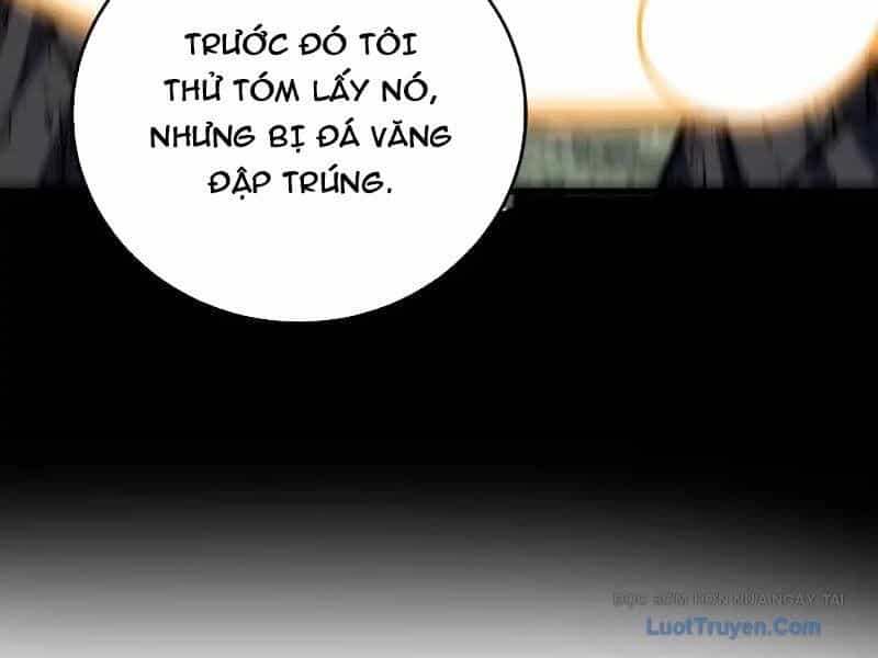 Mệnh Luân Chi Chủ! Khi Dị Biến Giáng Lâm Nhân Gian! - Chương 174 - ảnh 91