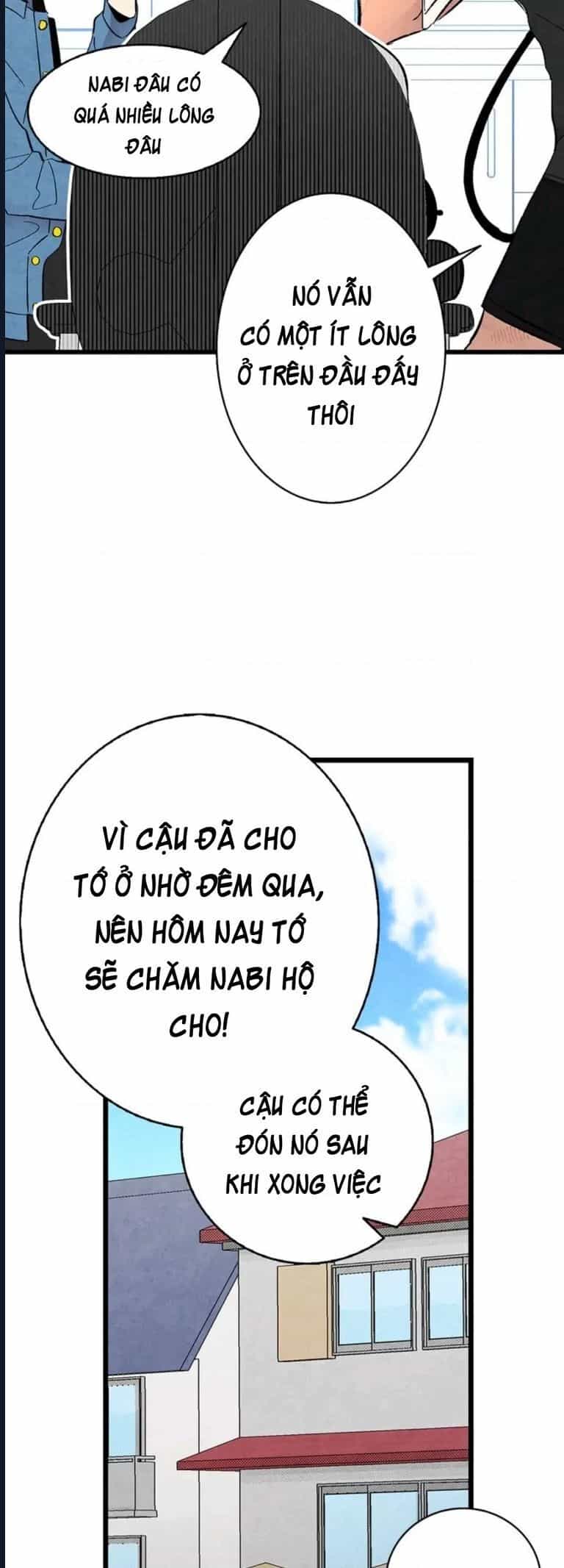 Mèo Con Của Skelly - Chương 7 - ảnh 17