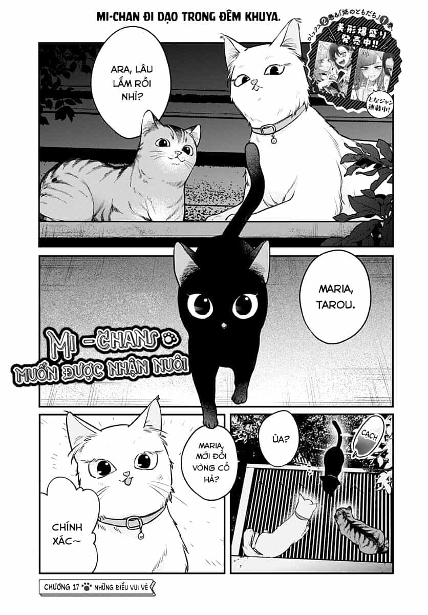 Mii-Chan Muốn Được Nhận Nuôi! - Chương 17 - ảnh 2