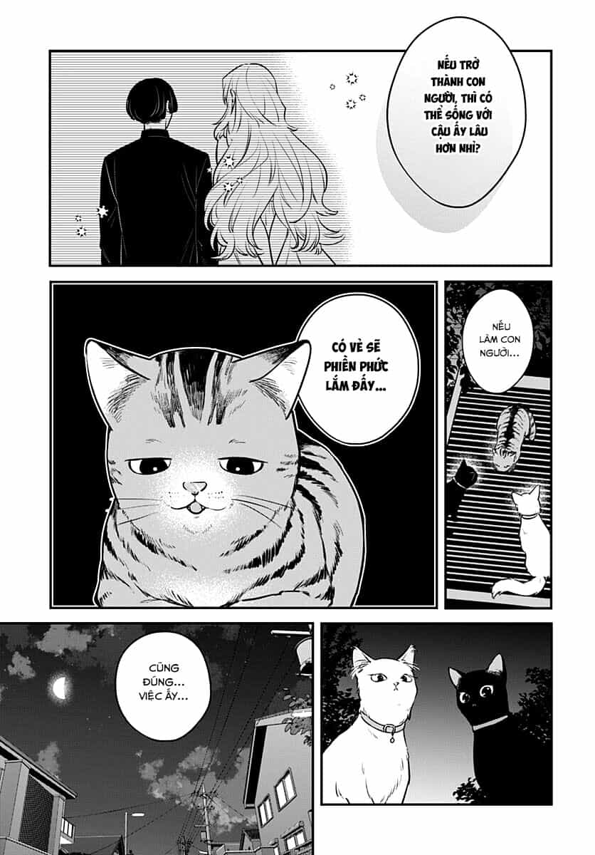 Mii-Chan Muốn Được Nhận Nuôi! - Chương 17 - ảnh 4