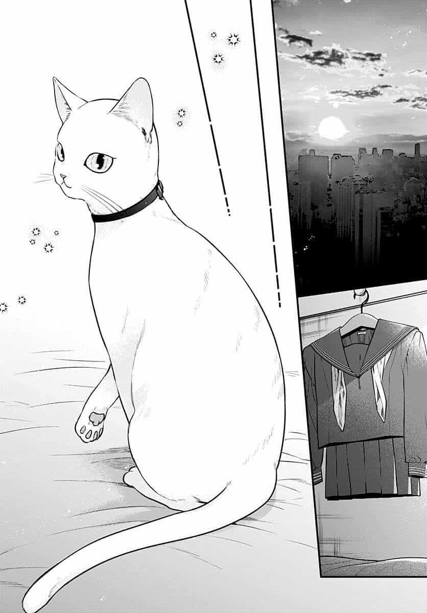Mii-Chan Muốn Được Nhận Nuôi! - Chương 8 - ảnh 29