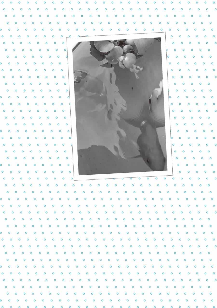 Mikako-San - Chương 28 - ảnh 7