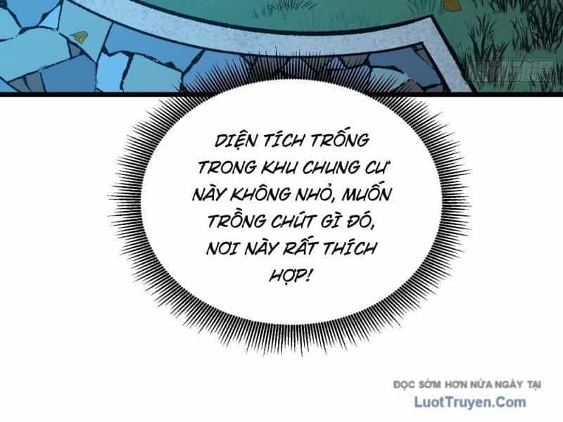 Mình Ta Tung Hoành Loạn Thế - Chương 6 - ảnh 5