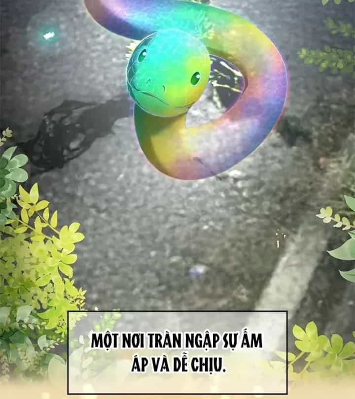 Mình Tao Là Siêu Việt Giả Mạnh Nhất! - Chương 102 - ảnh 78