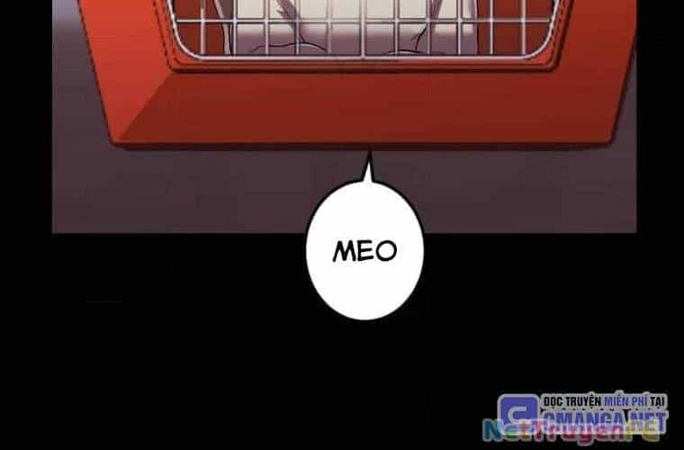 Mình Tao Là Siêu Việt Giả Mạnh Nhất! - Chương 27 - ảnh 148