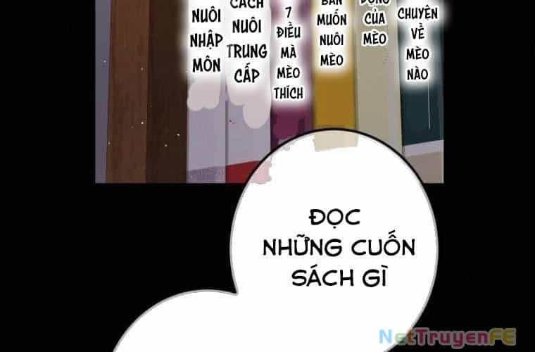Mình Tao Là Siêu Việt Giả Mạnh Nhất! - Chương 27 - ảnh 162