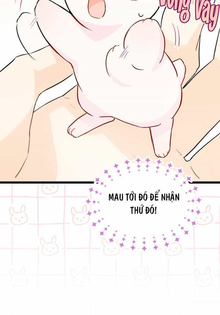 Mối Liên Kết Giữa Báo Đen Và Bé Thỏ - Chương 101 - ảnh 28