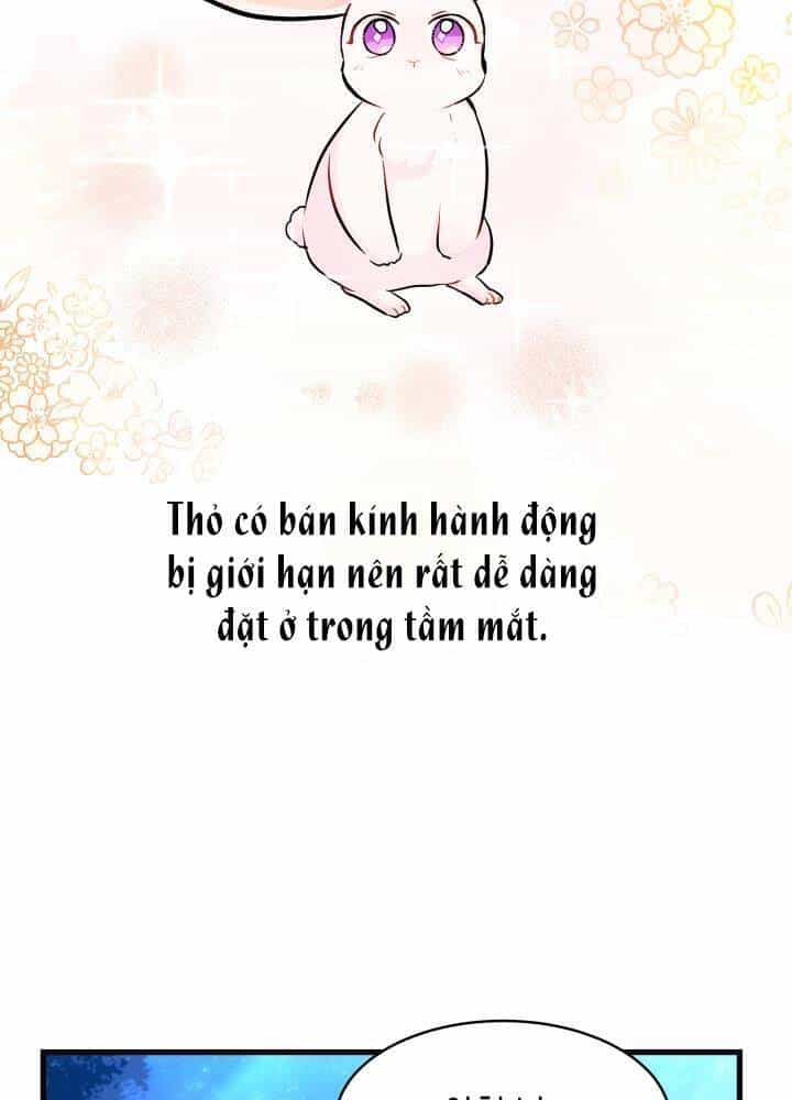 Mối Liên Kết Giữa Báo Đen Và Bé Thỏ - Chương 13 - ảnh 17