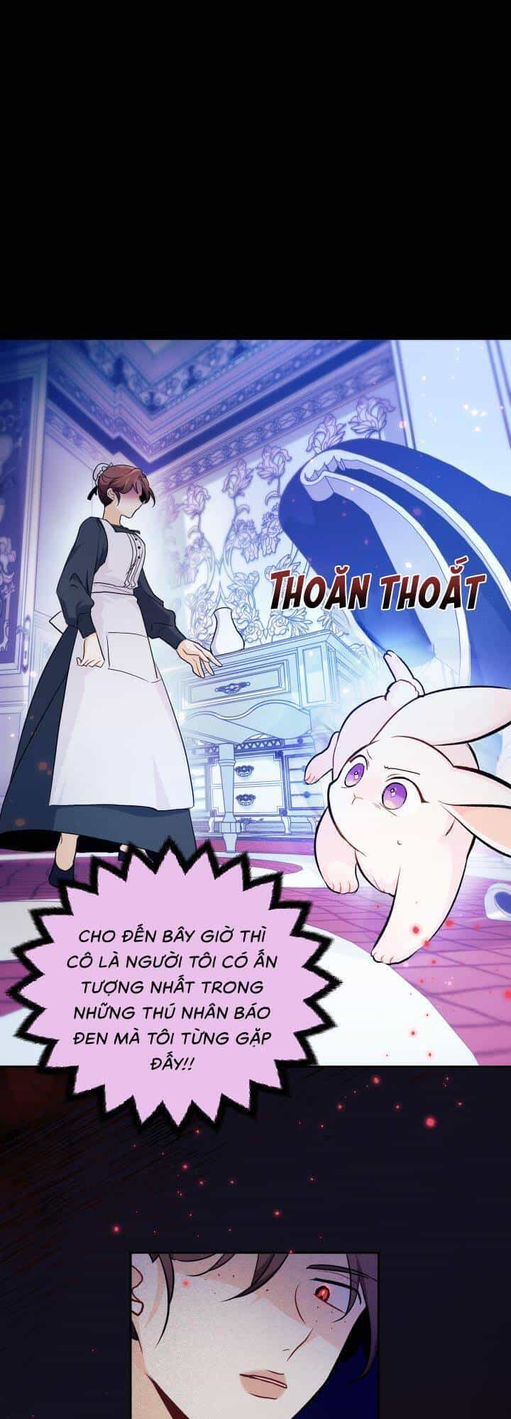 Mối Liên Kết Giữa Báo Đen Và Bé Thỏ - Chương 13 - ảnh 44