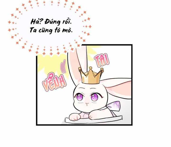 Mối Liên Kết Giữa Báo Đen Và Bé Thỏ - Chương 17 - ảnh 55