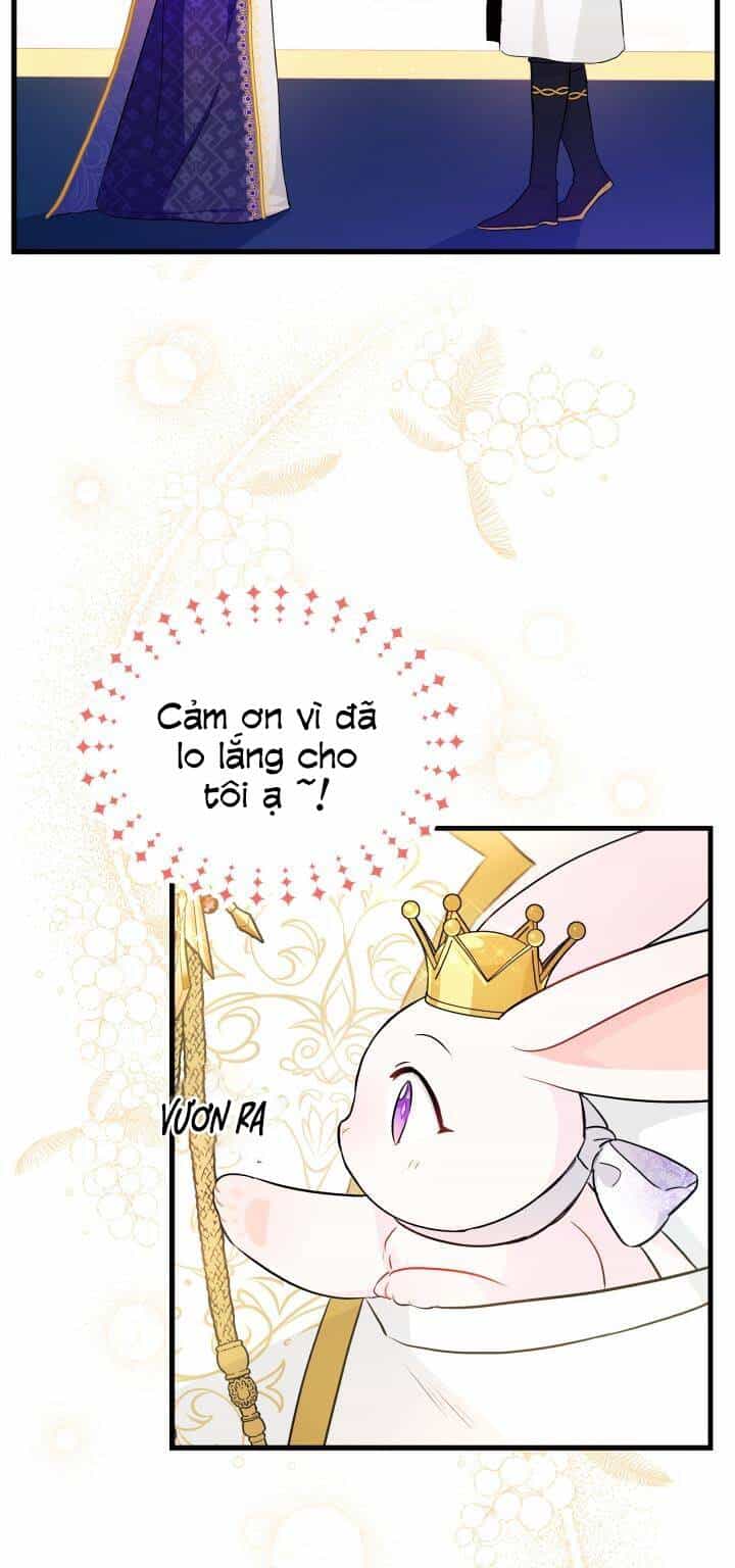 Mối Liên Kết Giữa Báo Đen Và Bé Thỏ - Chương 18 - ảnh 20