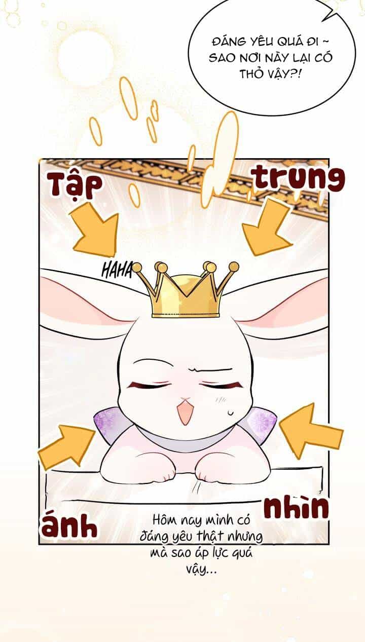 Mối Liên Kết Giữa Báo Đen Và Bé Thỏ - Chương 18 - ảnh 8