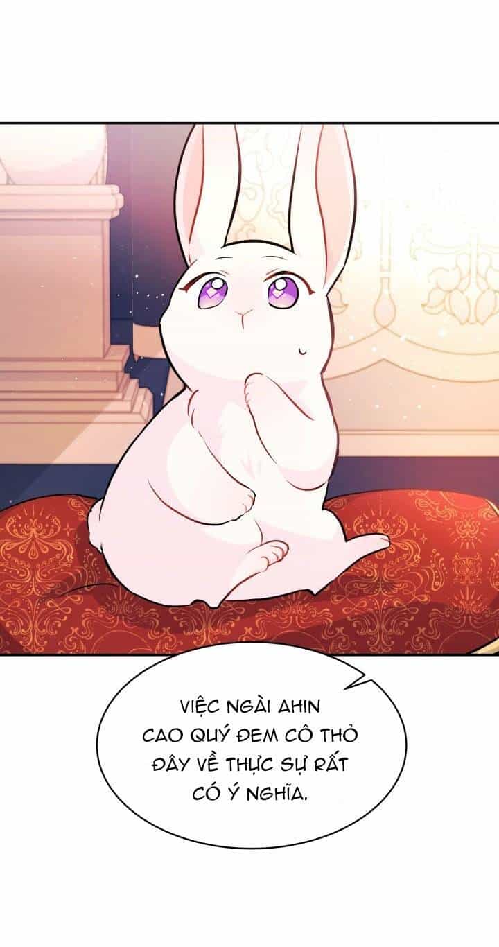 Mối Liên Kết Giữa Báo Đen Và Bé Thỏ - Chương 2 - ảnh 48