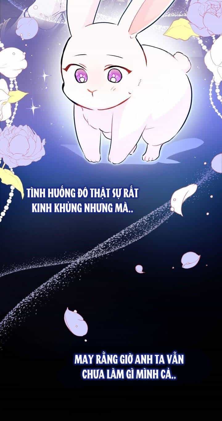 Mối Liên Kết Giữa Báo Đen Và Bé Thỏ - Chương 2 - ảnh 80