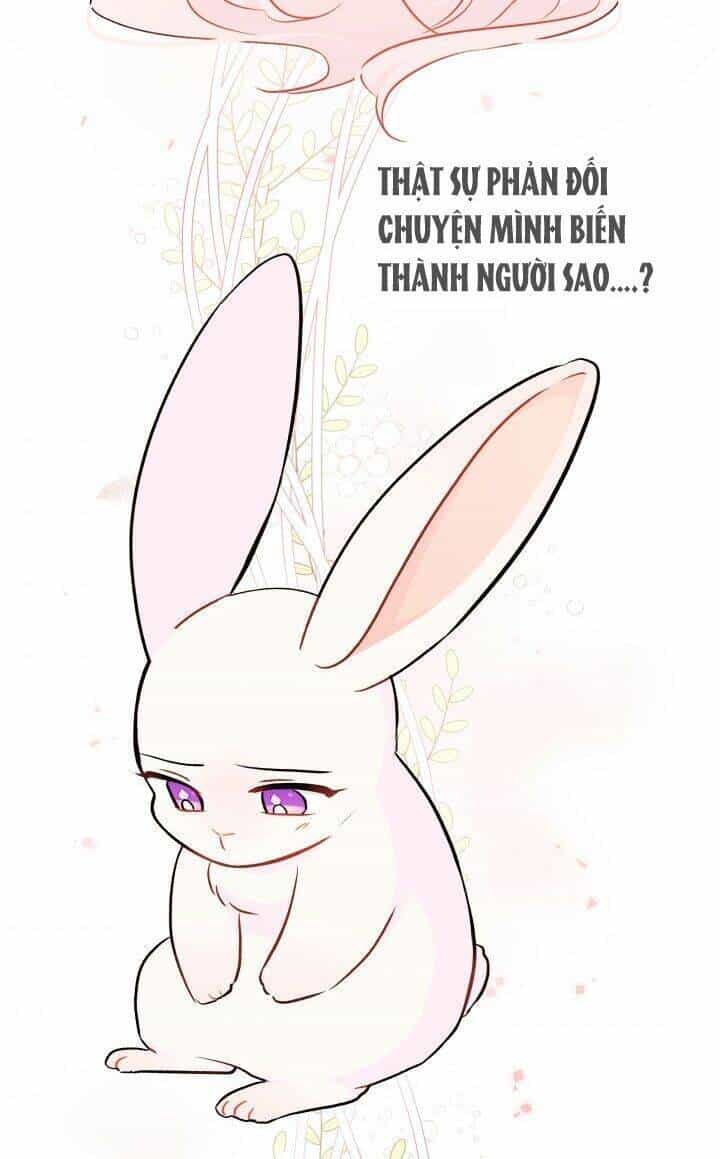 Mối Liên Kết Giữa Báo Đen Và Bé Thỏ - Chương 22 - ảnh 48
