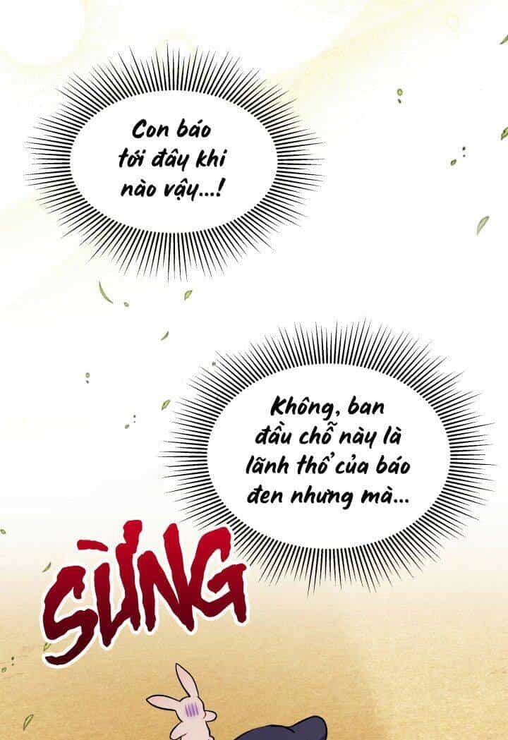 Mối Liên Kết Giữa Báo Đen Và Bé Thỏ - Chương 23 - ảnh 14
