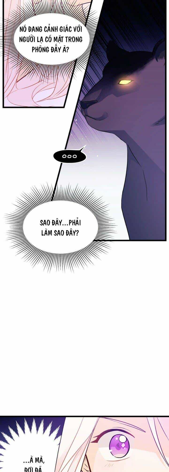 Mối Liên Kết Giữa Báo Đen Và Bé Thỏ - Chương 24 - ảnh 16