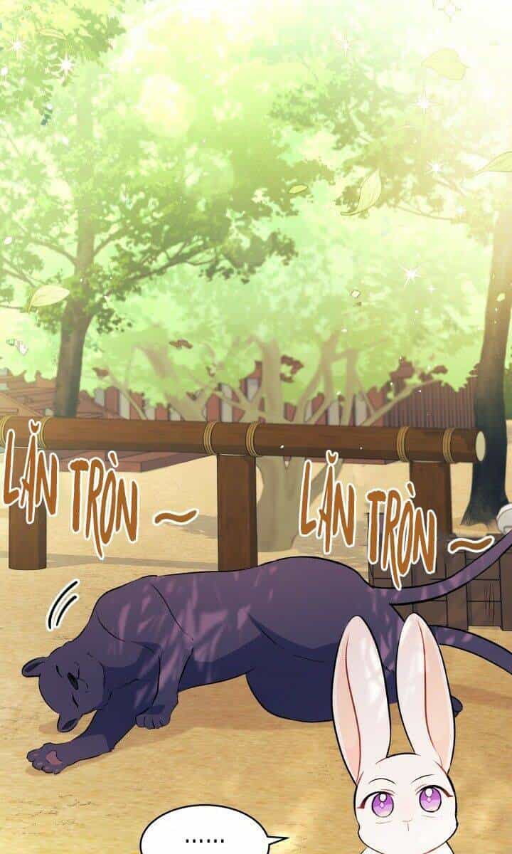 Mối Liên Kết Giữa Báo Đen Và Bé Thỏ - Chương 26 - ảnh 35