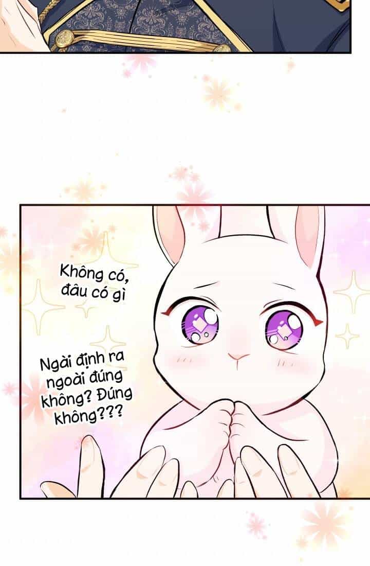 Mối Liên Kết Giữa Báo Đen Và Bé Thỏ - Chương 3 - ảnh 41