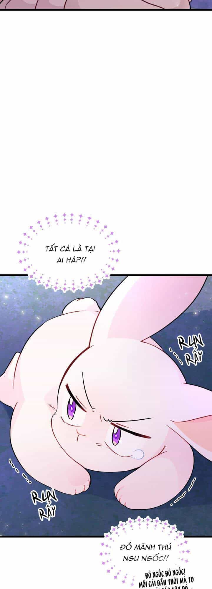 Mối Liên Kết Giữa Báo Đen Và Bé Thỏ - Chương 34 - ảnh 37