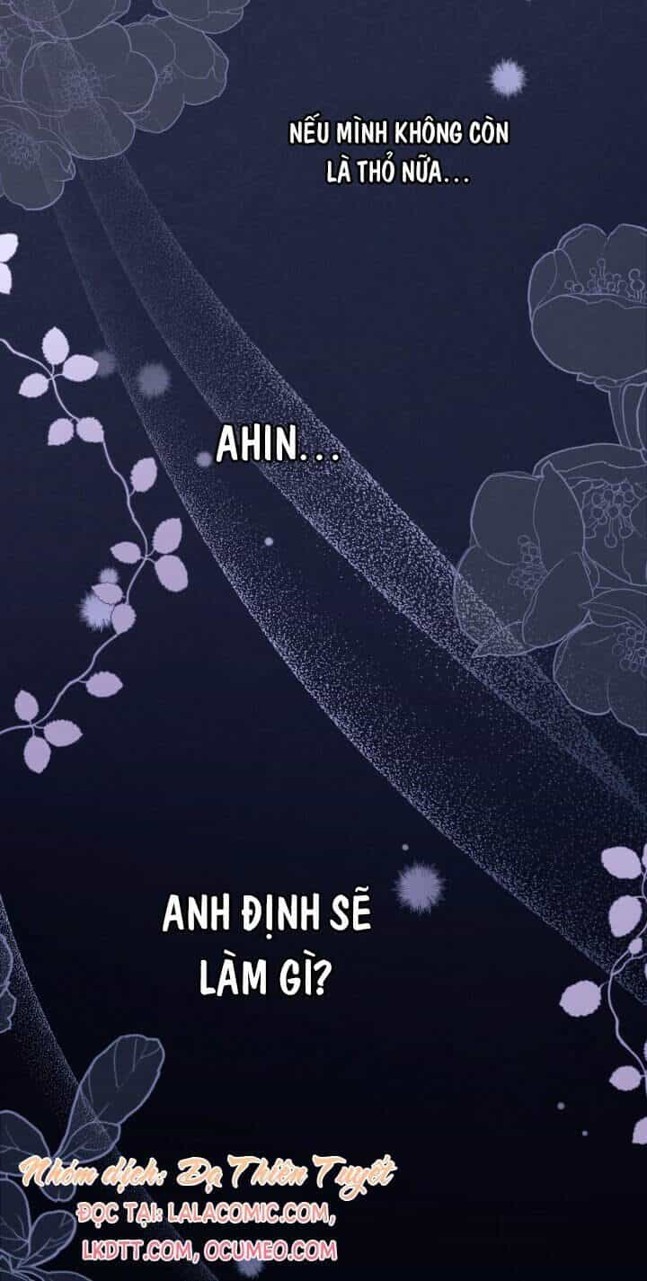 Mối Liên Kết Giữa Báo Đen Và Bé Thỏ - Chương 37 - ảnh 55