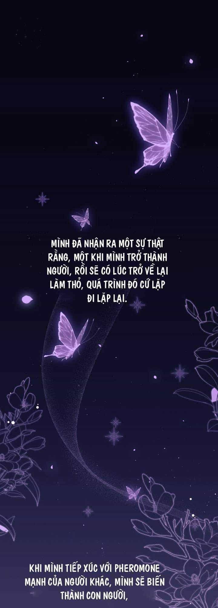 Mối Liên Kết Giữa Báo Đen Và Bé Thỏ - Chương 44 - ảnh 1