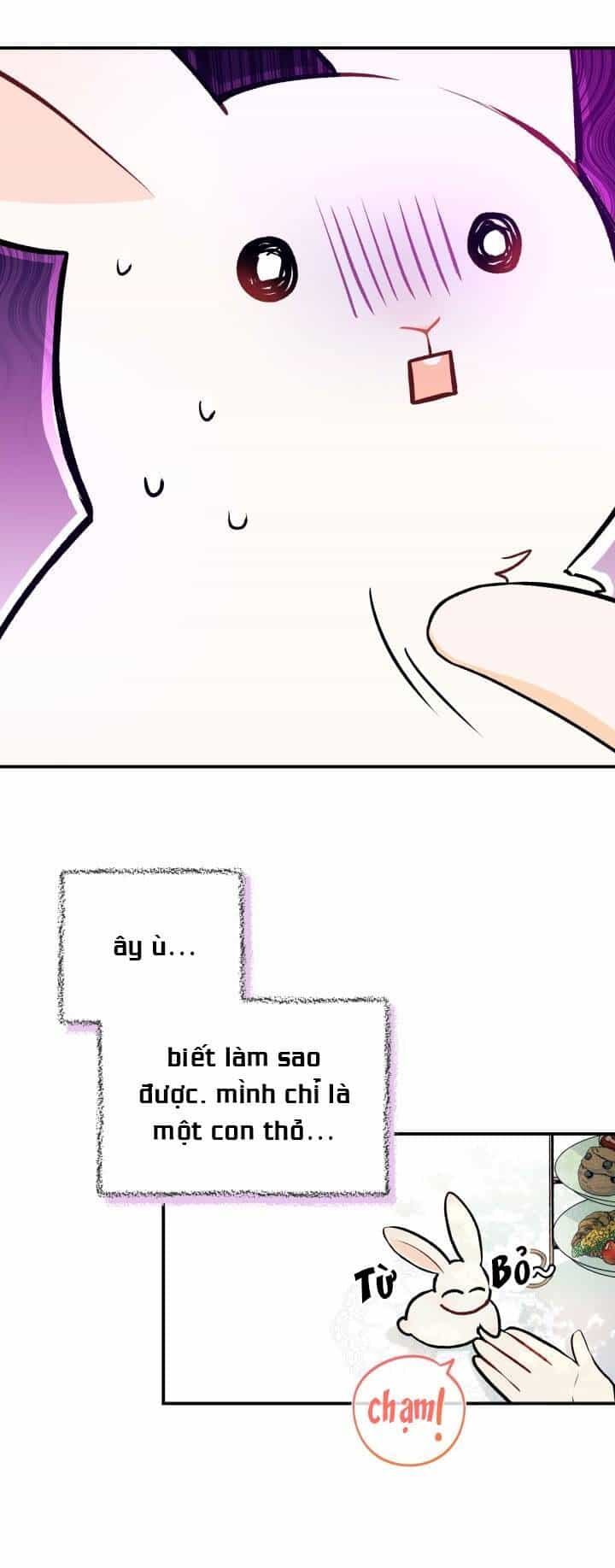 Mối Liên Kết Giữa Báo Đen Và Bé Thỏ - Chương 5 - ảnh 26