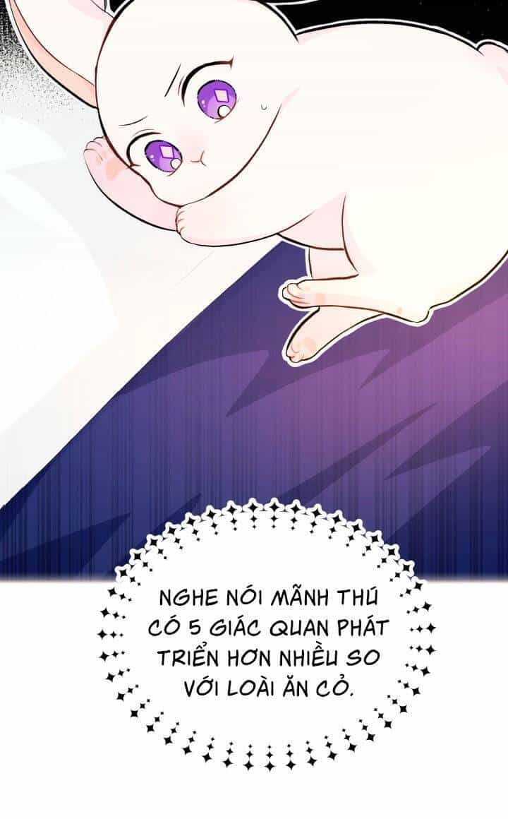 Mối Liên Kết Giữa Báo Đen Và Bé Thỏ - Chương 5 - ảnh 40