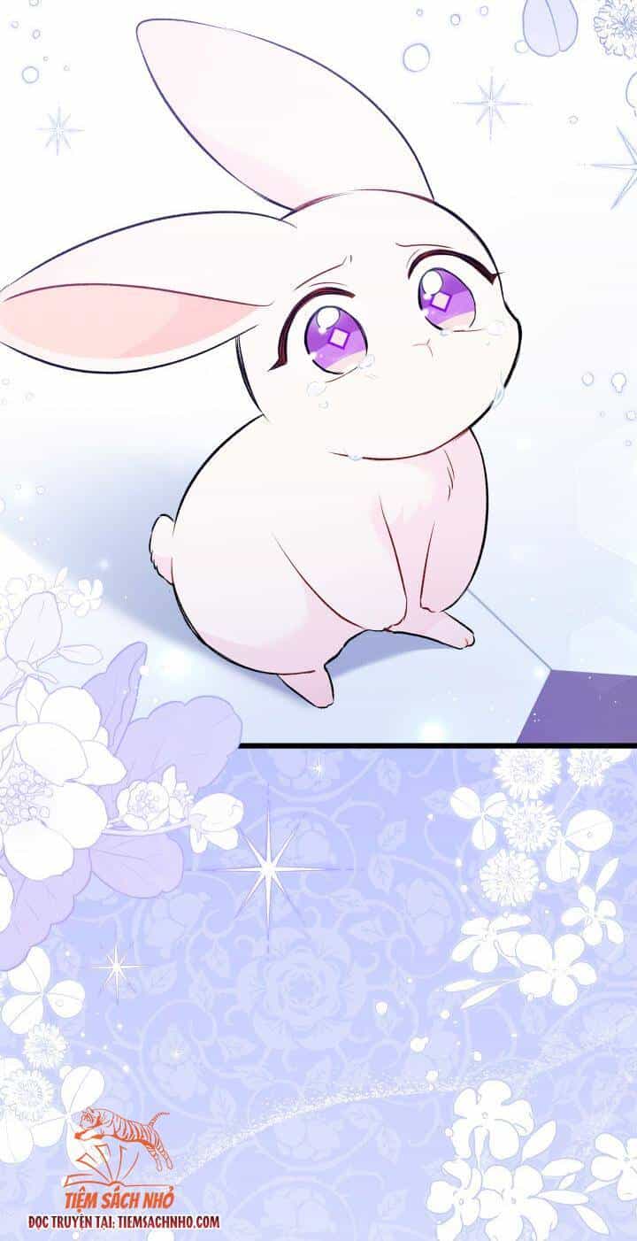 Mối Liên Kết Giữa Báo Đen Và Bé Thỏ - Chương 58 - ảnh 66