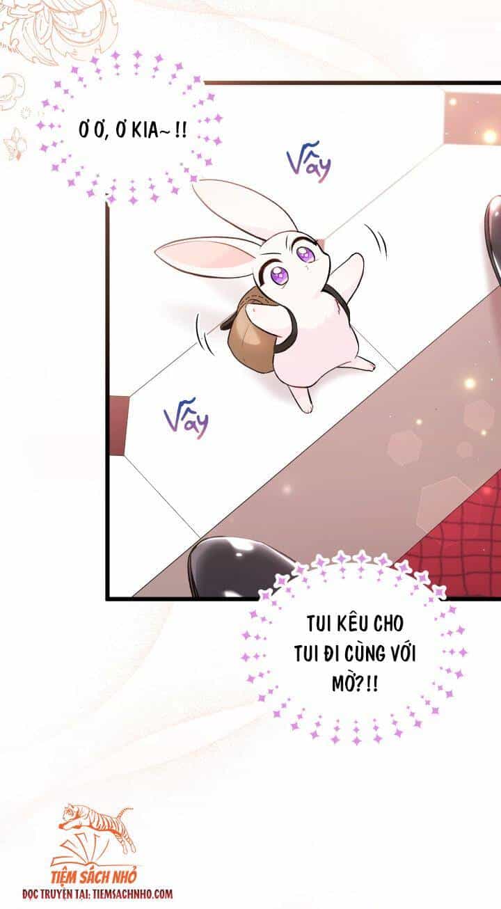 Mối Liên Kết Giữa Báo Đen Và Bé Thỏ - Chương 59 - ảnh 23