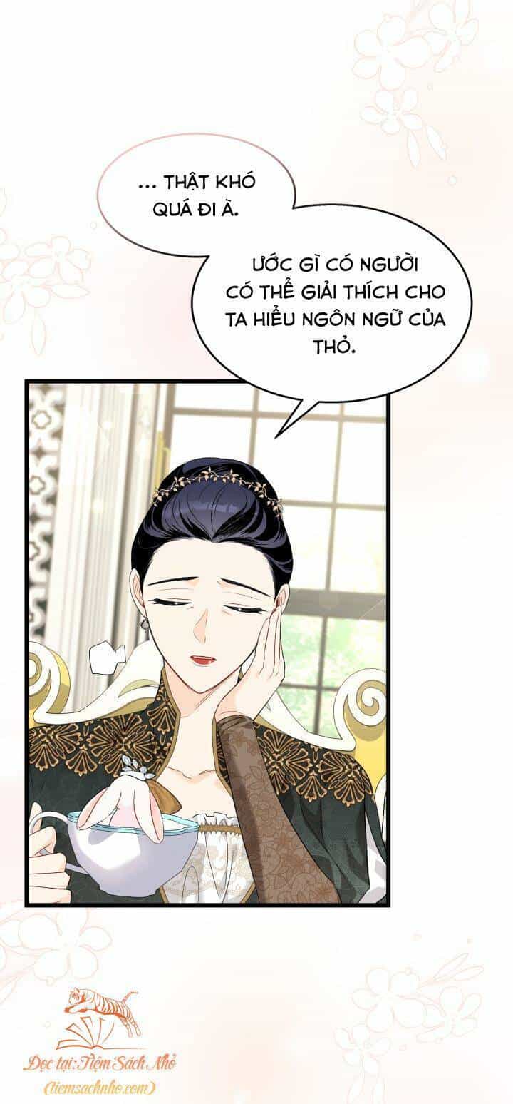 Mối Liên Kết Giữa Báo Đen Và Bé Thỏ - Chương 84 - ảnh 12