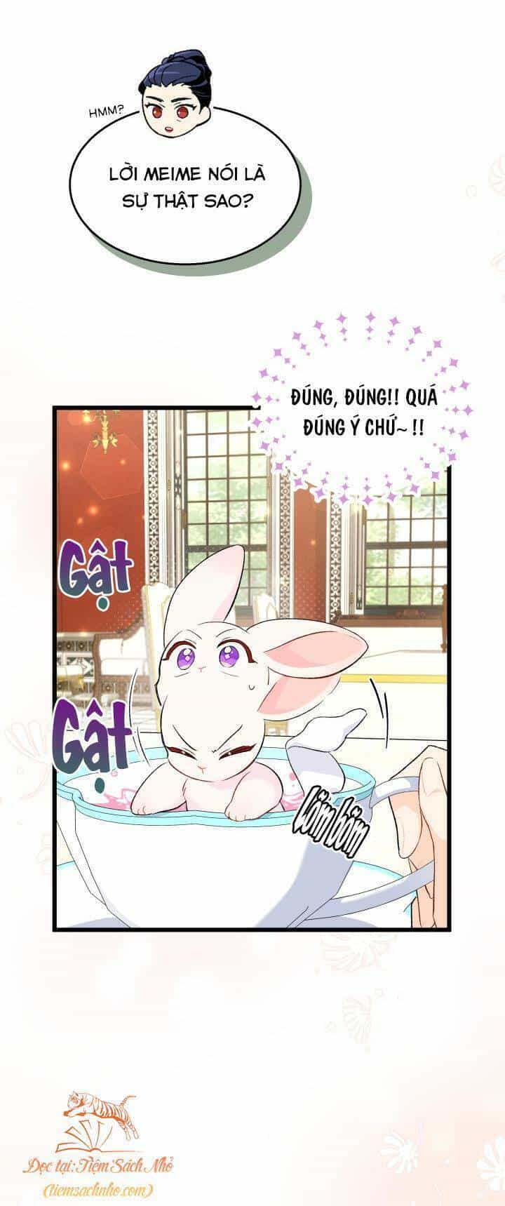 Mối Quan Hệ Cộng Sinh Giữa Báo Đen Và Thỏ Trắng - Chương 84 - ảnh 16