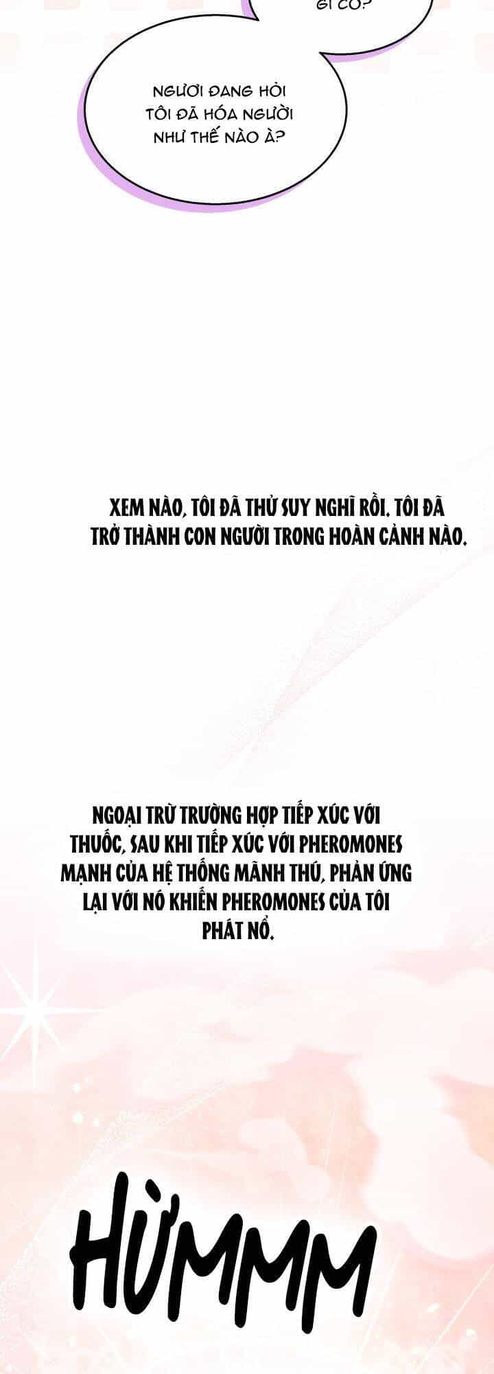 Mối Quan Hệ Cộng Sinh Giữa Báo Đen Và Thỏ Trắng - Chương 85 - ảnh 26