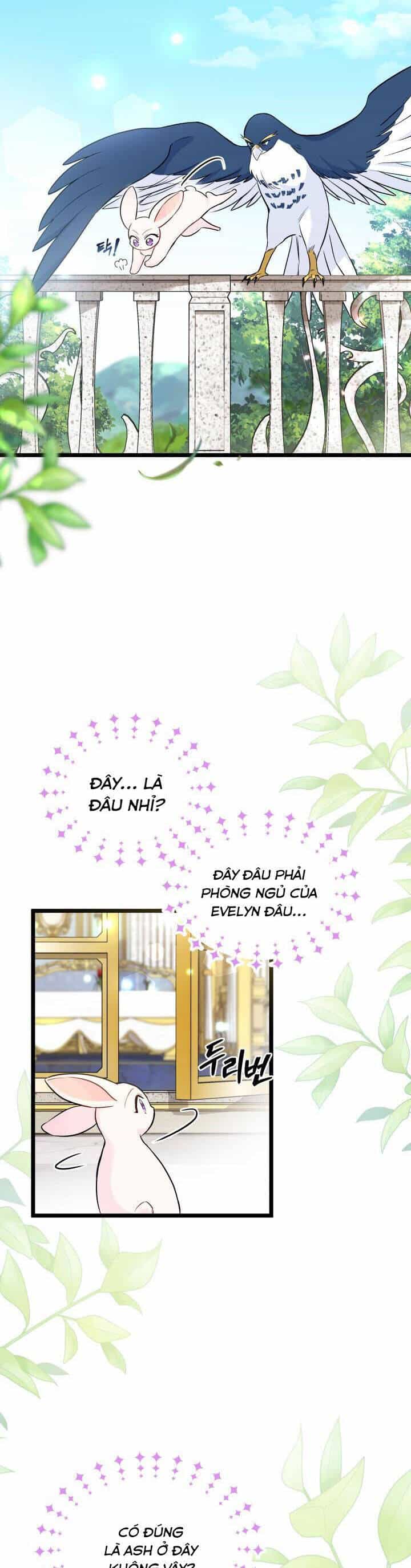 Mối Quan Hệ Cộng Sinh Giữa Báo Đen Và Thỏ Trắng - Chương 134 - ảnh 4
