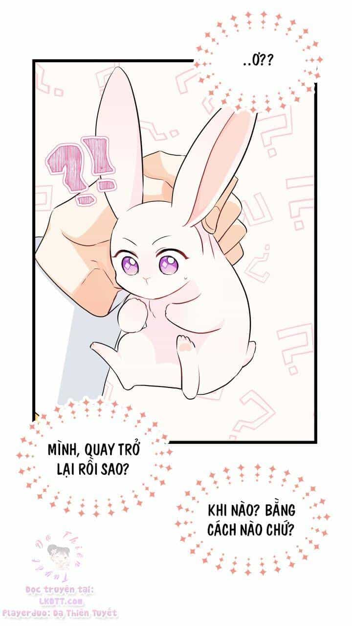 Mối Quan Hệ Cộng Sinh Giữa Báo Đen Và Thỏ Trắng - Chương 21 - ảnh 19