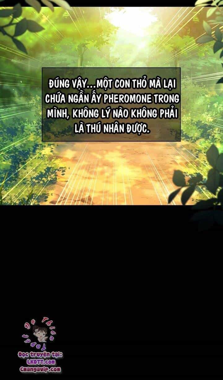 Mối Quan Hệ Cộng Sinh Giữa Báo Đen Và Thỏ Trắng - Chương 29 - ảnh 66