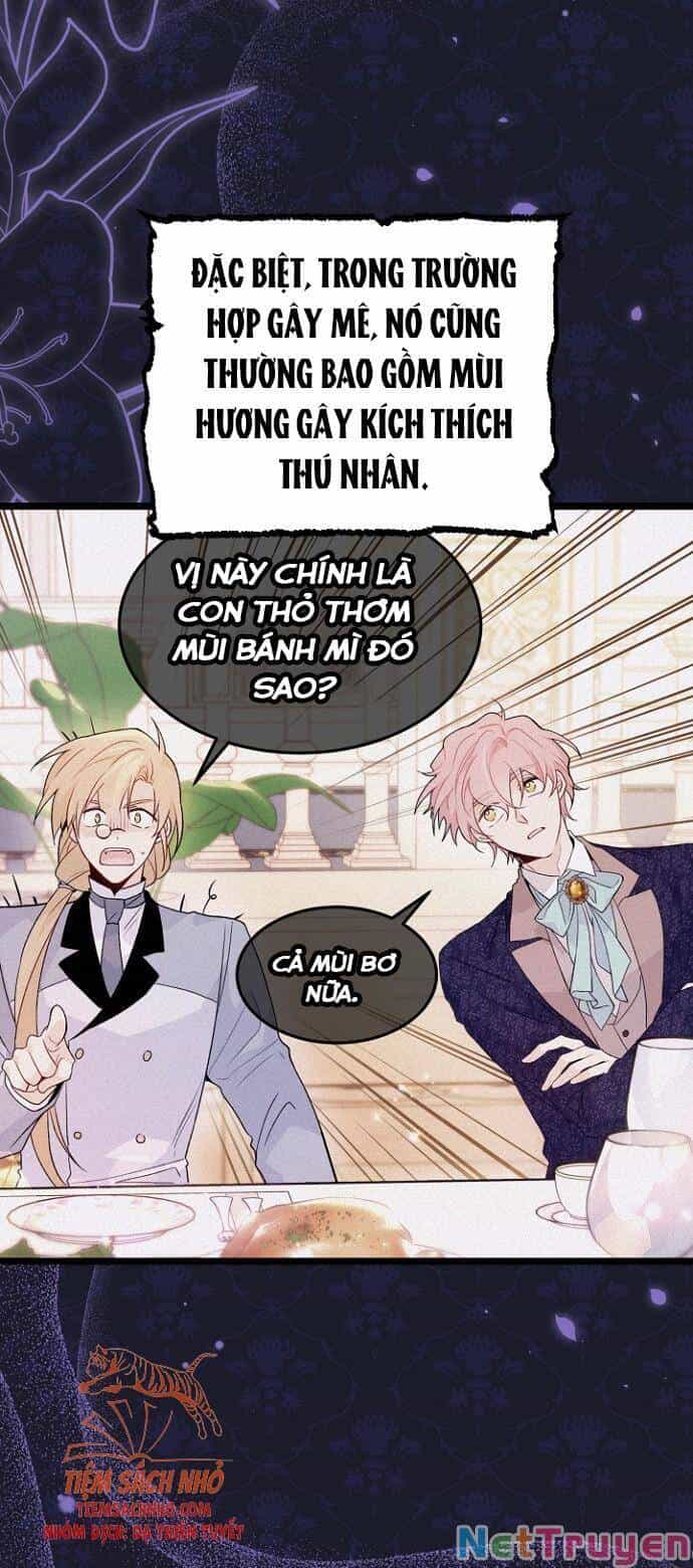 Mối Quan Hệ Cộng Sinh Giữa Báo Đen Và Thỏ Trắng - Chương 47 - ảnh 62