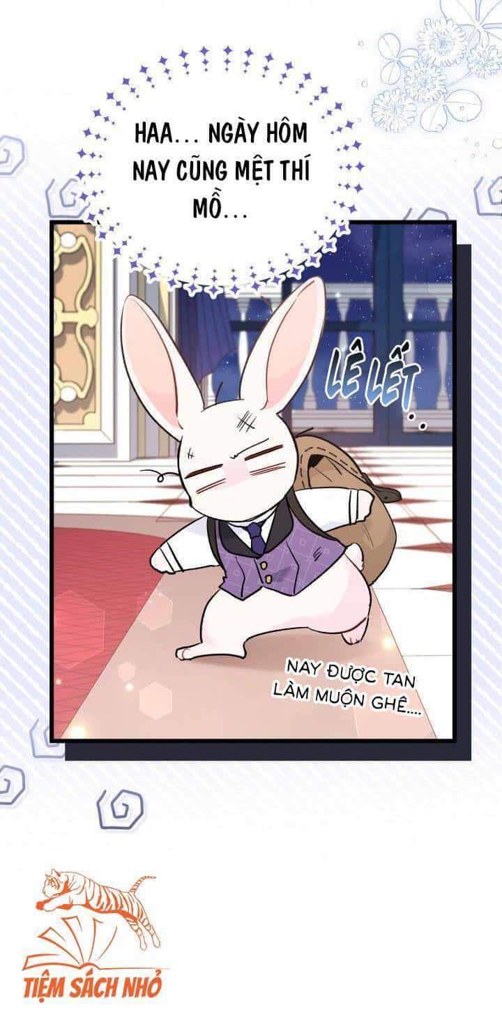 Mối Quan Hệ Cộng Sinh Giữa Báo Đen Và Thỏ Trắng - Chương 57 - ảnh 4