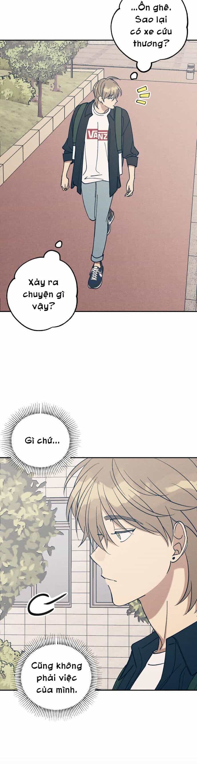 Mối Tình Đầu Đáng Ghét - Chương 55 - ảnh 8
