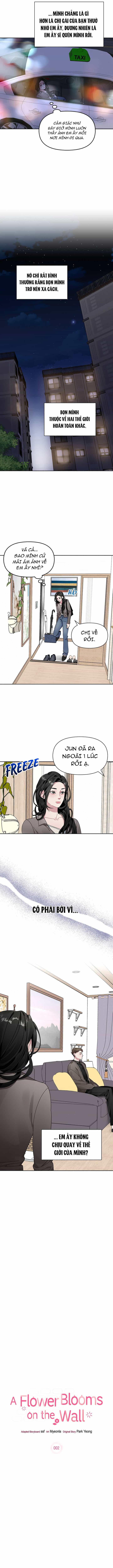 Một Bông Hoa Nở Trên Tường - Chương 3 - ảnh 2