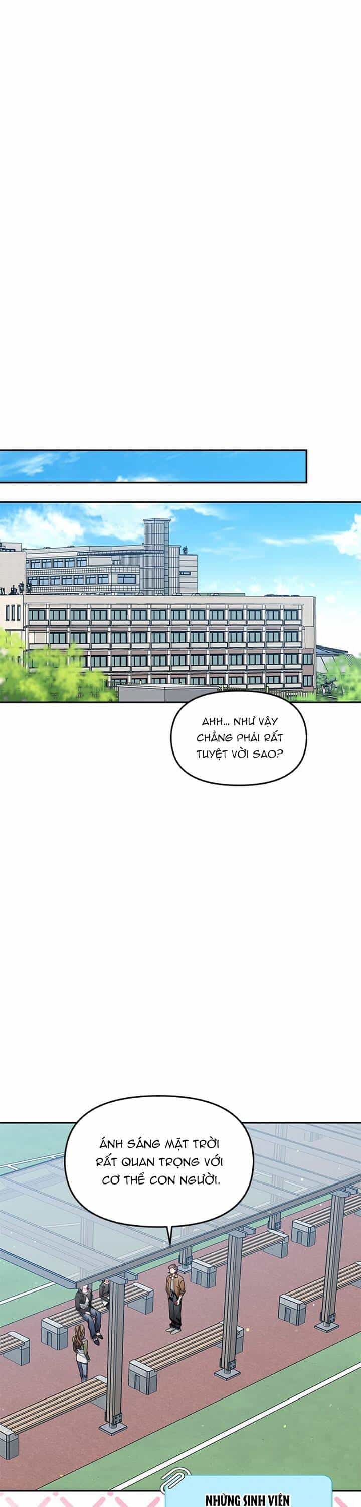 Một Bông Hoa Nở Trên Tường - Chương 9 - ảnh 23