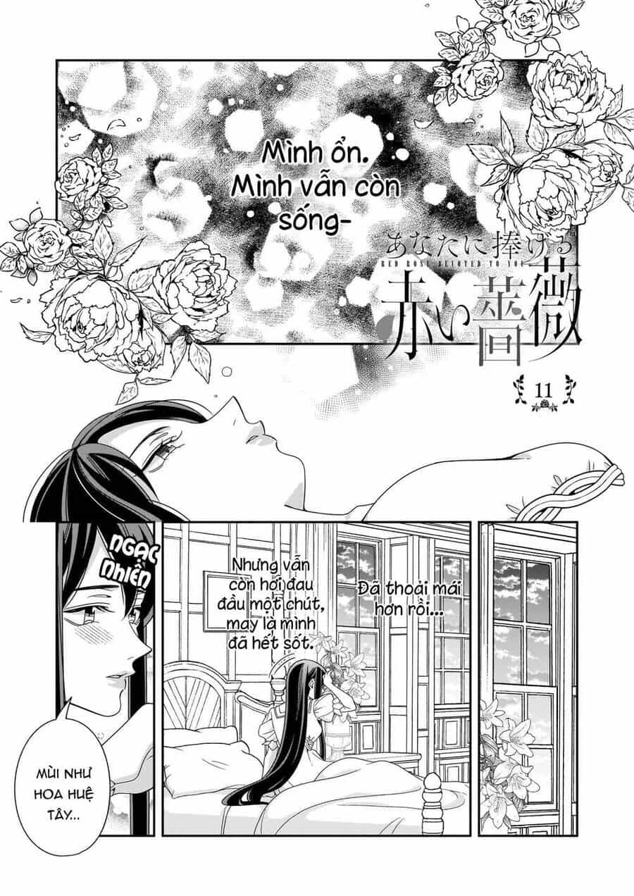Một Bông Hồng Đỏ Dành Riêng Cho Người - Chương 11 - ảnh 3