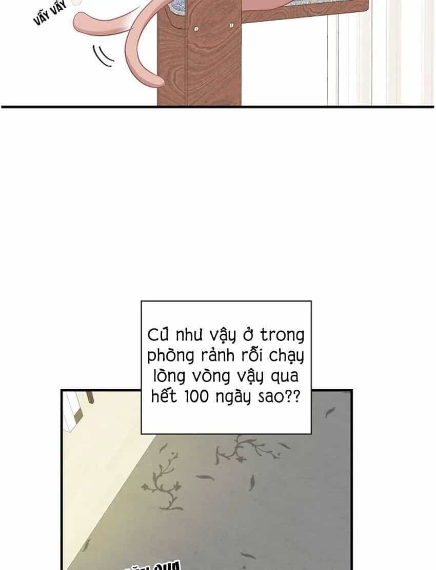 Một Cuộc Sống Kỳ Lạ - Chương 17 - ảnh 13