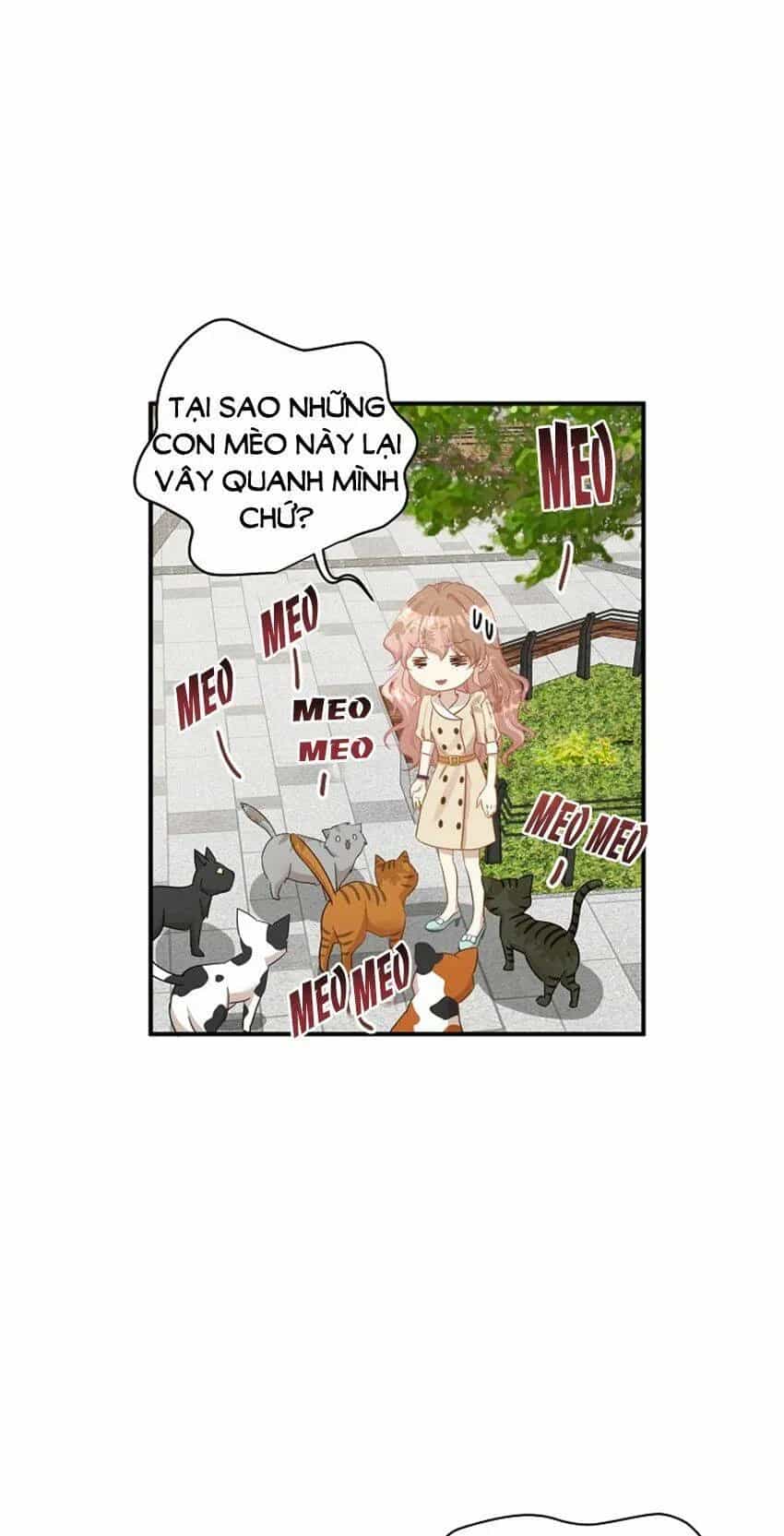Một Cuộc Sống Kỳ Lạ - Chương 20 - ảnh 28